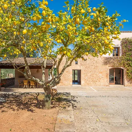 Pere Rapinya Villa